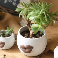 Lip Planter - Image 2