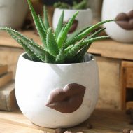 Lip Planter - Image 3