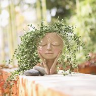 Blushing Face Planter - Image 7