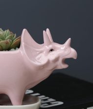 Cute Dinosaur Succulent Planter Pot with Drainage Tray - Image 6