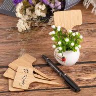 Blank Wooden Plant Label Signs - Image 8