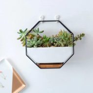 Geometric Ceramic Wall Planter with Octagonal Iron Frame - Image 14
