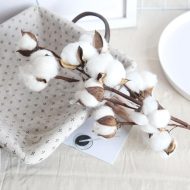Cotton Stems - Image 5