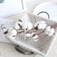 Cotton Stems - Image 7
