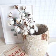 Cotton Stems - Image 9