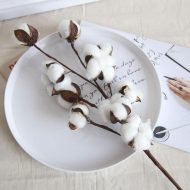 Cotton Stems - Image 10