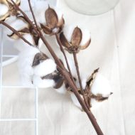 Cotton Stems - Image 6