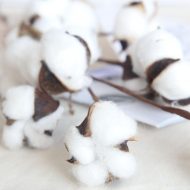 Cotton Stems - Image 8