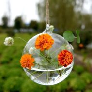 Hanging Glass Ball Terrarium Vase - Image 2