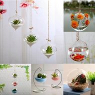 Hanging Glass Ball Terrarium Vase - Image 5