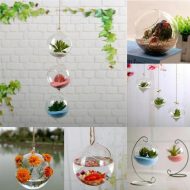 Hanging Glass Ball Terrarium Vase - Image 8