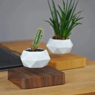 Magnetic Levitating Planter - Image 3
