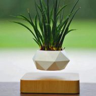 Magnetic Levitating Planter - Image 2