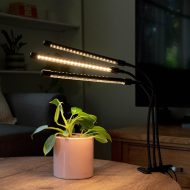 Full Spectrum LED Grow Light - Image 3
