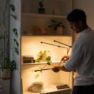 Full Spectrum LED Grow Light - Image 5