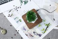 Magnetic Levitating Planter - Image 8
