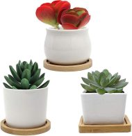 Natural Bamboo Planter Saucer Trays - Image 16