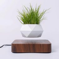 Magnetic Levitating Planter - Image 5