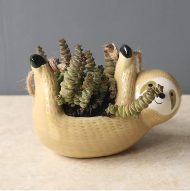 Sloth Ceramic Hanging Succulent Planter - Image 8