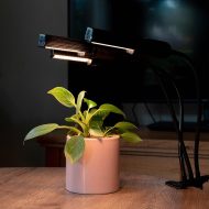 HydroGlow LED Grow Light - Image 3