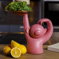 Monkey Tray