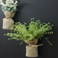 Surrey Mini Magnetic Plants - Image 3