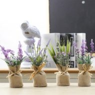 Surrey Mini Magnetic Plants - Image 2