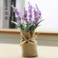 Surrey Mini Magnetic Plants - Image 4