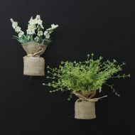 Surrey Mini Magnetic Plants - Image 5