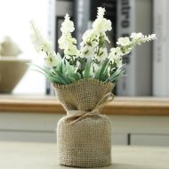 Surrey Mini Magnetic Plants - Image 8