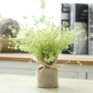 Surrey Mini Magnetic Plants - Image 9