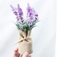 Surrey Mini Magnetic Plants - Image 10