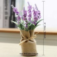 Surrey Mini Magnetic Plants - Image 12