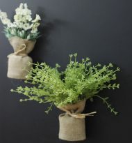 Surrey Mini Magnetic Plants - Image 13