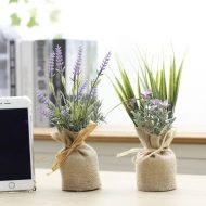 Surrey Mini Magnetic Plants - Image 15