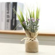 Surrey Mini Magnetic Plants - Image 14