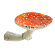 Mushroom Wall Shelf - Image 6