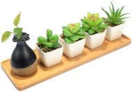 Natural Bamboo Planter Saucer Trays - Image 12