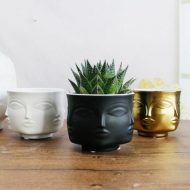 Multi-Face Succulent Planter