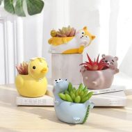 Lazy Animal Succulent Planter - Image 6