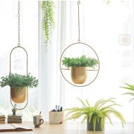 Halo Metal Hanging Planter - Image 3