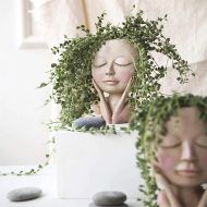 Blushing Face Planter - Image 8