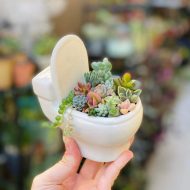 Handmade Ceramic Toilet Succulent Planter - Image 8