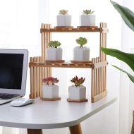 Hexagon Ceramic Succulent Planter with Bamboo Saucer - Image 7