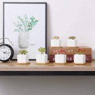 Hexagon Ceramic Succulent Planter with Bamboo Saucer - Image 10