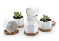 Hexagon Ceramic Succulent Planter with Bamboo Saucer - Image 6