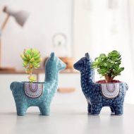 Alpaca Ceramic Succulent Planter - Image 14