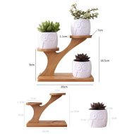 Tiered Ceramic Owl Succulent Planters with Bamboo Shelf - Image 8