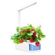 Indoor Herb Garden Hydroponic LED Planter Kit - Image 3