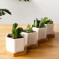 Hexagon Ceramic Succulent Planter with Bamboo Saucer - Image 5